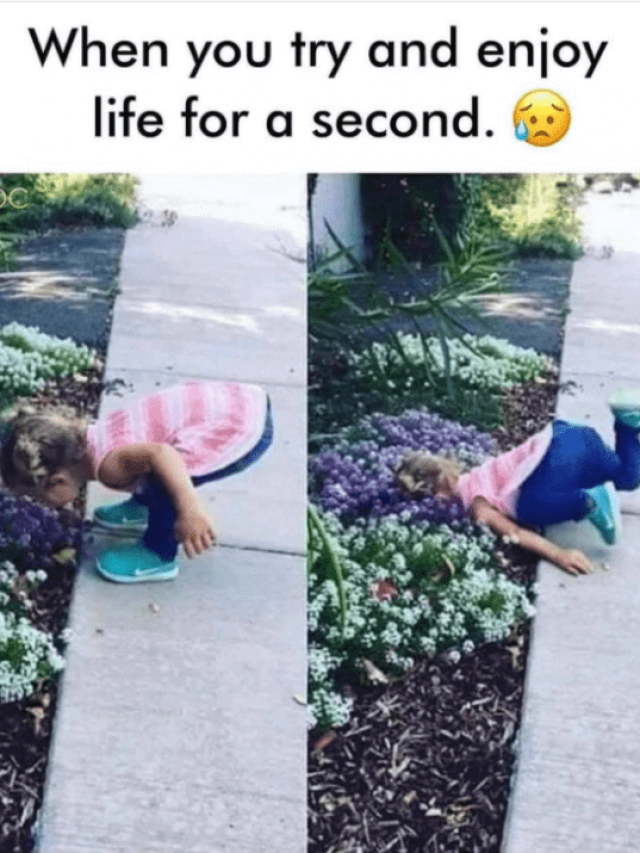 25 Funny Memes About Life in 2024